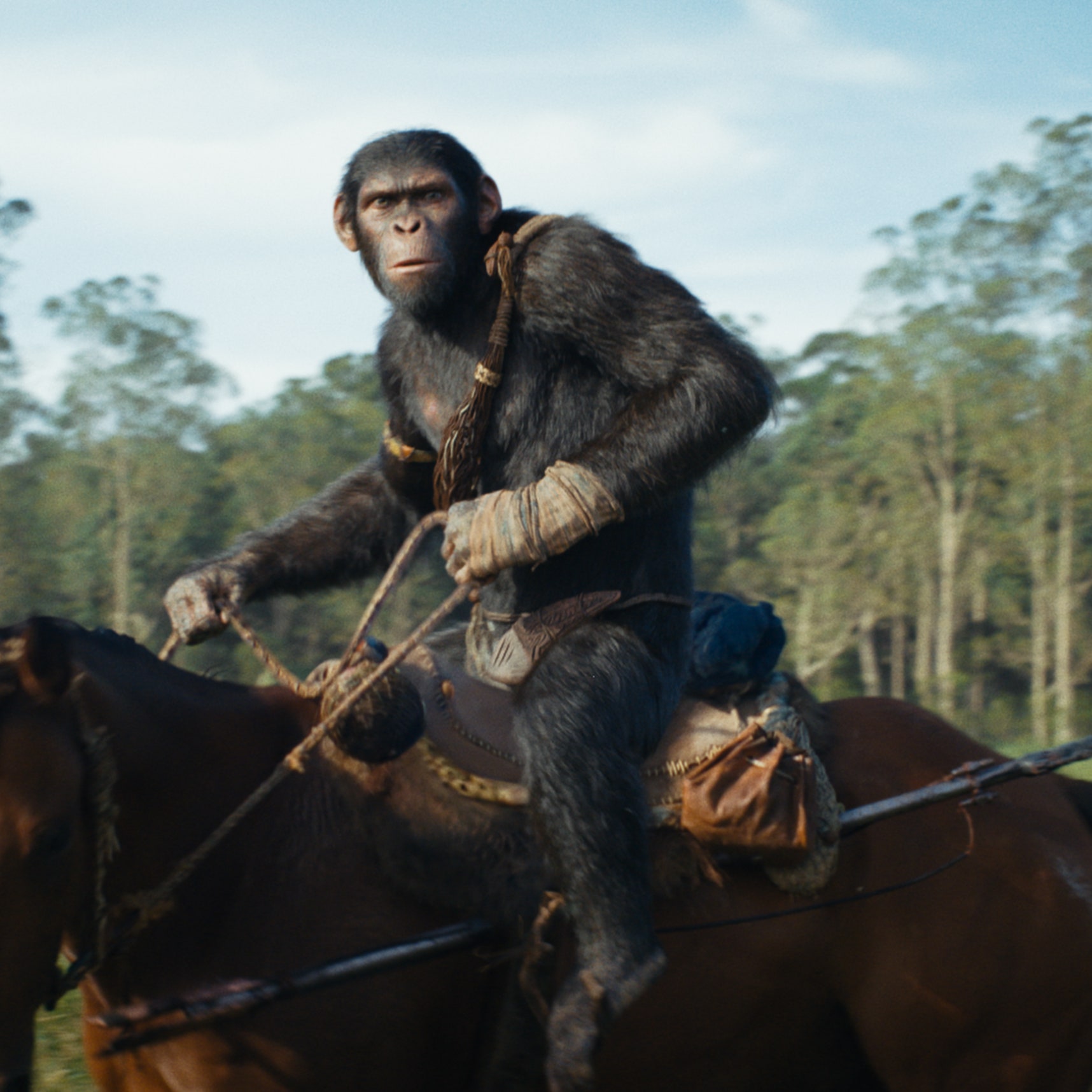 A Stellar Franchise Continues Its Reign in Kingdom of the Planet of the Apes